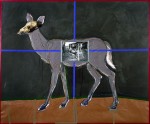 deerReconstruct