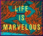 lifeIsMarv